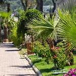 Blue Dreams Bodrum 5* Торба