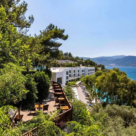 Blue Dreams Bodrum 토르바