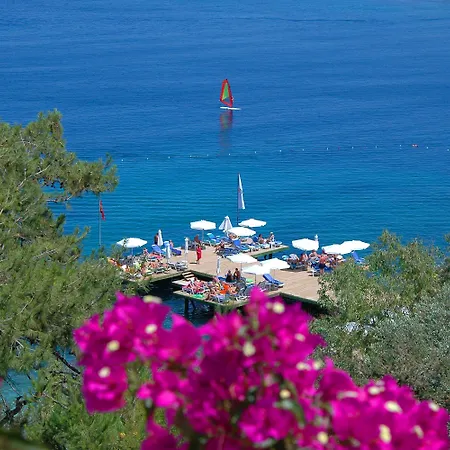 Blue Dreams Bodrum