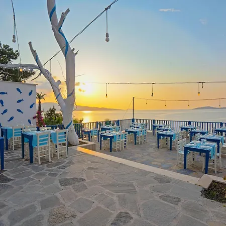 Blue Dreams Bodrum