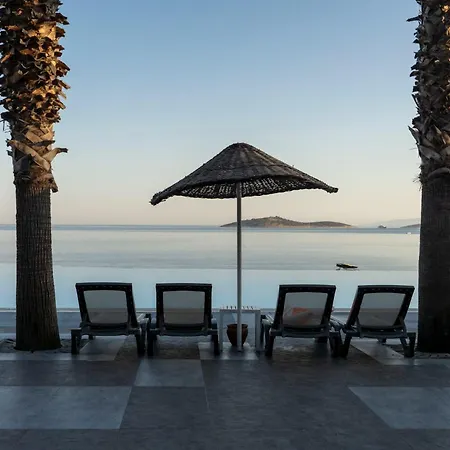 Blue Dreams Bodrum 토르바