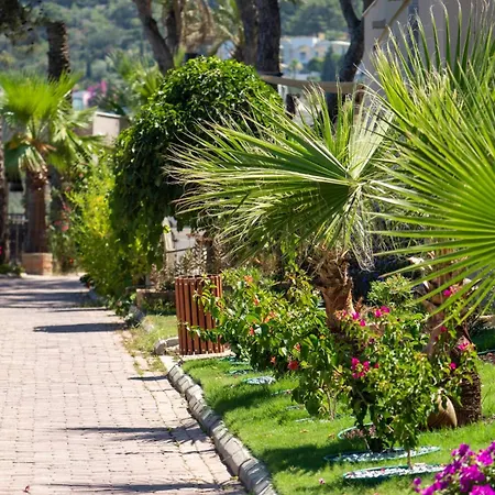 Blue Dreams Bodrum 5* 토르바