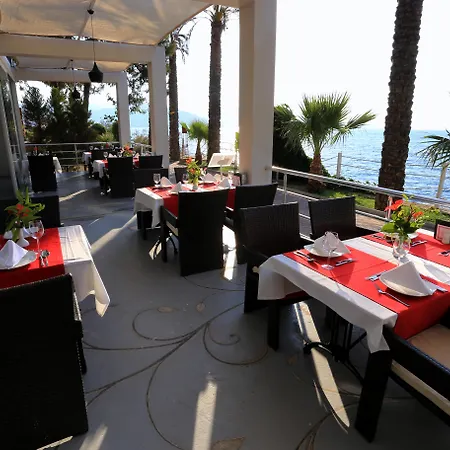 Курортный комплекс Blue Dreams Bodrum