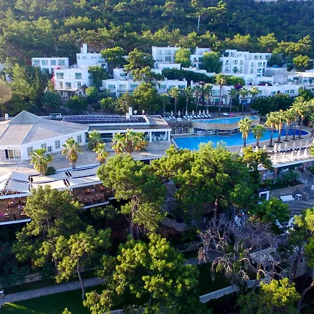 منتجع Blue Dreams Bodrum