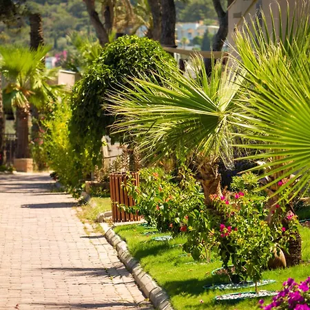 Blue Dreams Bodrum 度假村