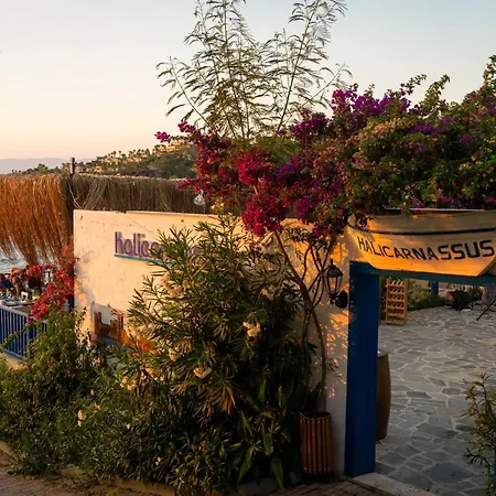 Blue Dreams Bodrum 5* 托尔巴