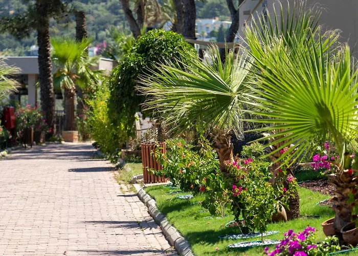 Blue Dreams Bodrum 5* Torba